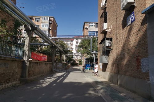 南廠住宅東區(qū)居住體驗(yàn)全解析 優(yōu)缺點(diǎn)、現(xiàn)狀與周邊中介評價