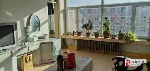 樂都1月6日精品房源速遞 精選住房出租，不容錯過！